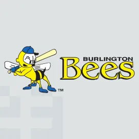 Burlington bees